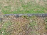 image of grave number 343750